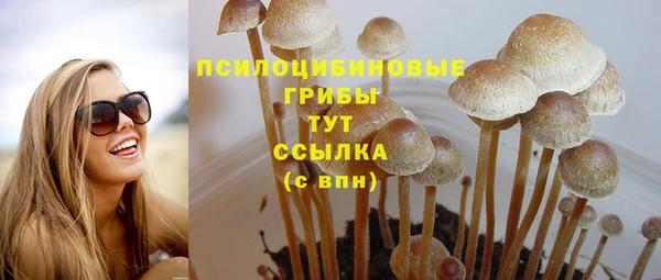 меф Горно-Алтайск