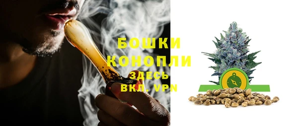 сатива Строитель
