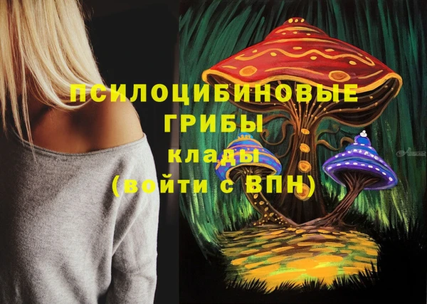 mdpv Горняк