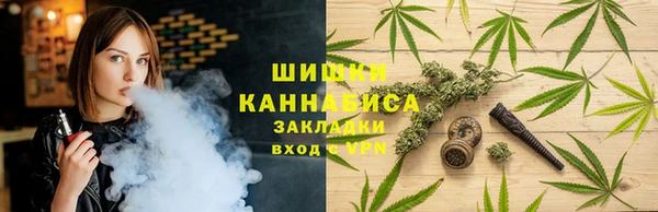 бошки Горнозаводск