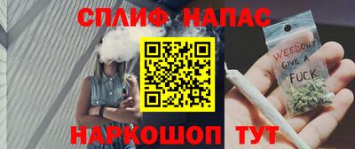 гашик Жуковский
