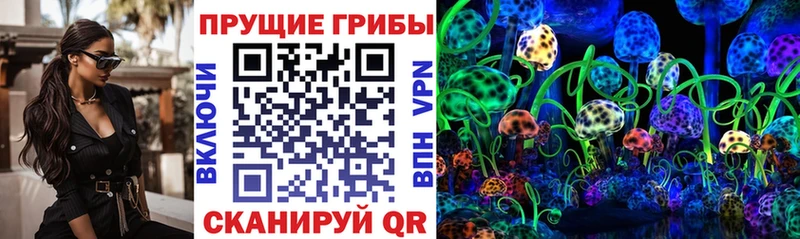 Псилоцибиновые грибы ЛСД  Острогожск 