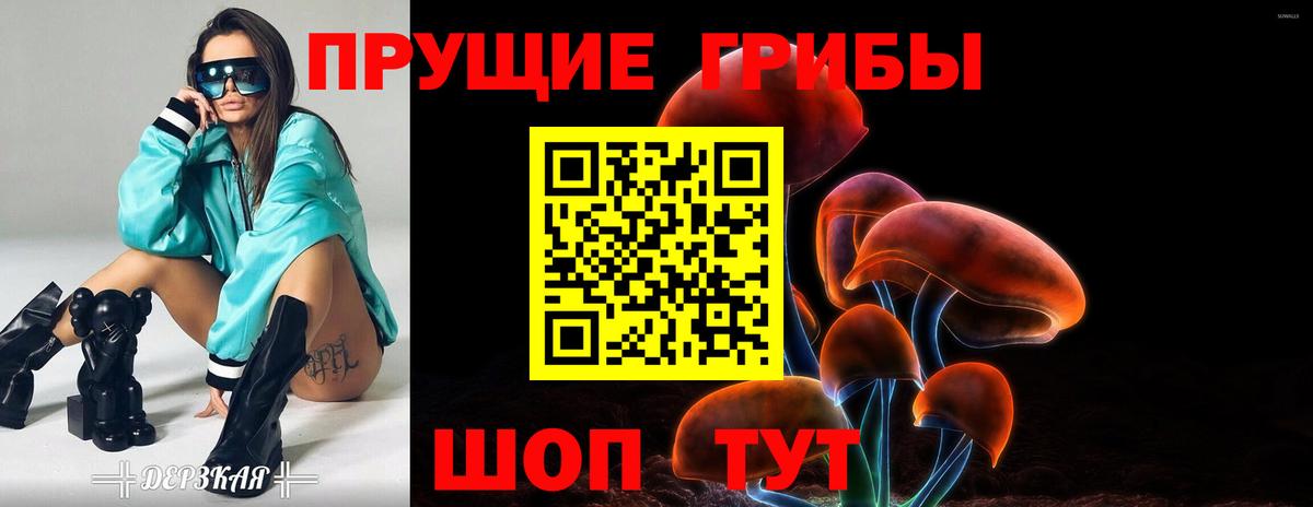 Псилоцибиновые грибы прущие грибы  магазин  наркотиков  Острогожск 