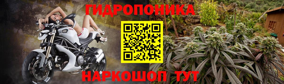 МАРИХУАНА VHQ  Бошки марихуана конопля  Острогожск  Канабис White Widow 