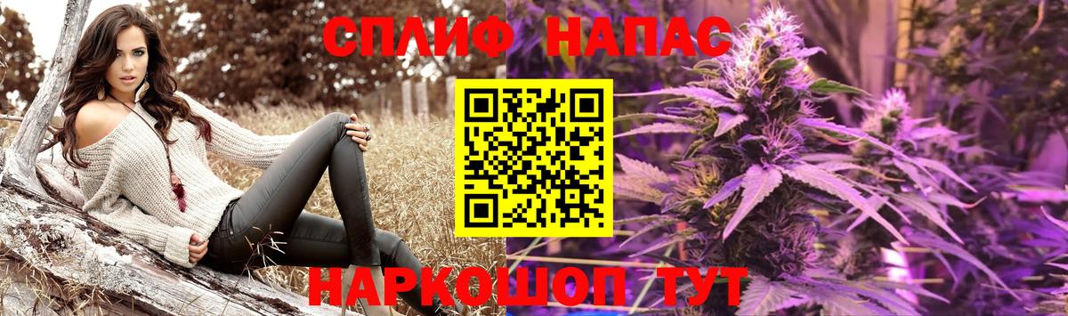 Каннабис сатива Острогожск